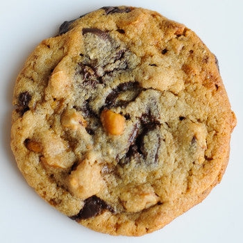 Peanut Butter Crunch – Gotham Cookies